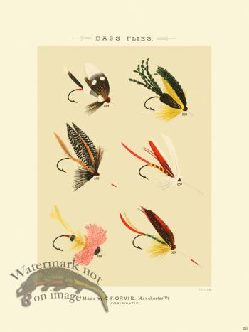 Favorite Flies 28 Bass